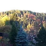 Oda ve Kahvaltı Haus Petra 3*