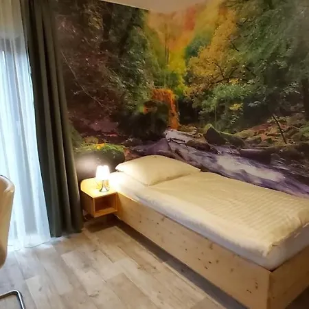 Haus Petra 3* Altenau (Lower-Saxony)