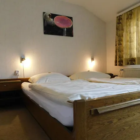Haus Petra 3* Altenau (Lower-Saxony)