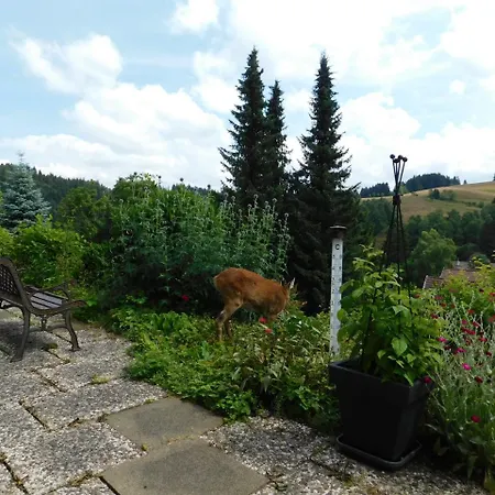Bed & Breakfast Haus Petra Altenau (Lower-Saxony)