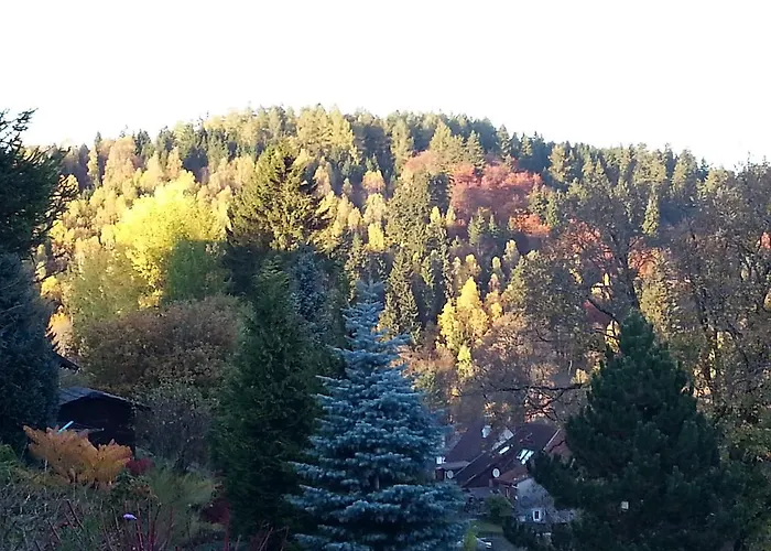 Bed & Breakfast Haus Petra 3*