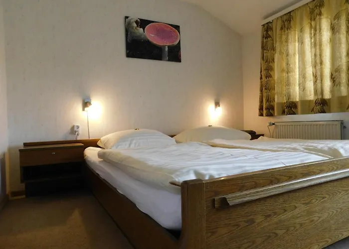 Haus Petra 3* Altenau (Lower-Saxony)