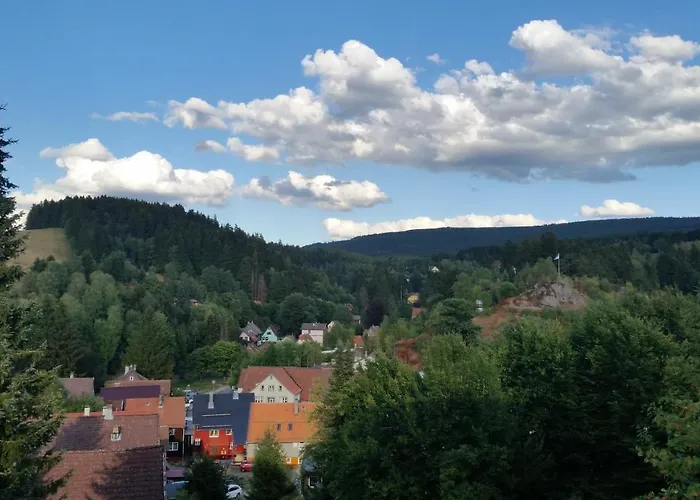 Haus Petra Bed & Breakfast Altenau (Lower-Saxony)